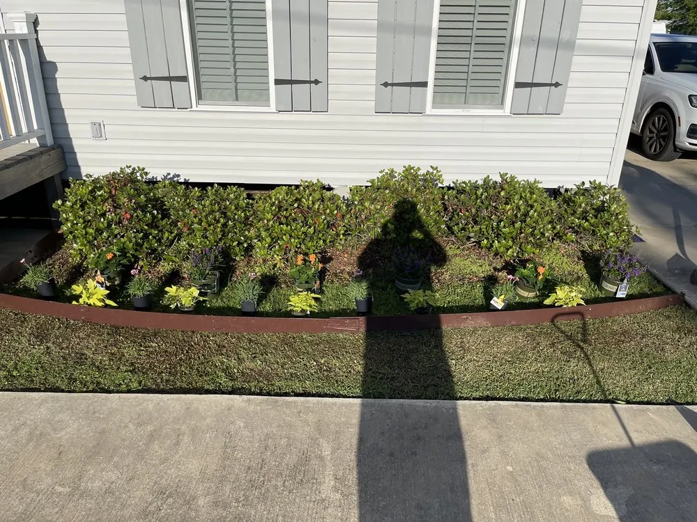 Local lawn mowing service in Rayne, LA by Acadia Lawn Care