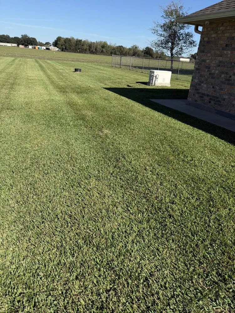 Custom lawn mowing service near you in Rayne, LA by Acadia Lawn Care
