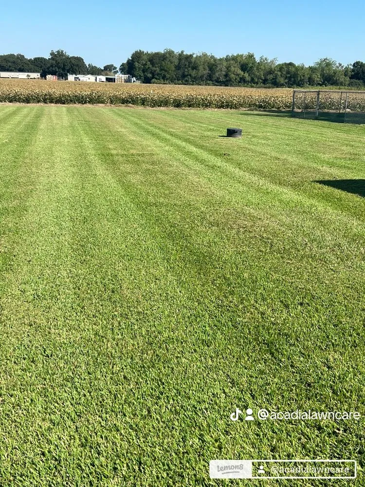 Trusted yard cleanup service in Rayne, LA - Acadia Lawn Care