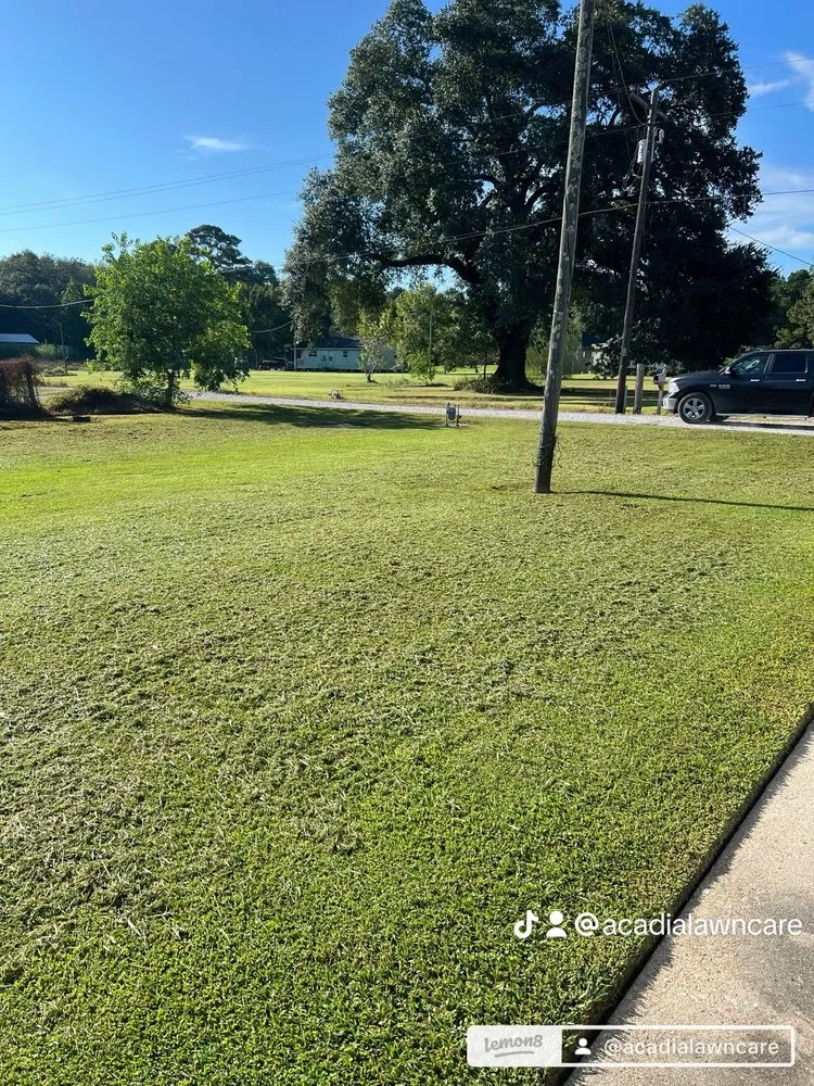 Local landscape design for residential properties in Rayne, LA by Acadia Lawn Care