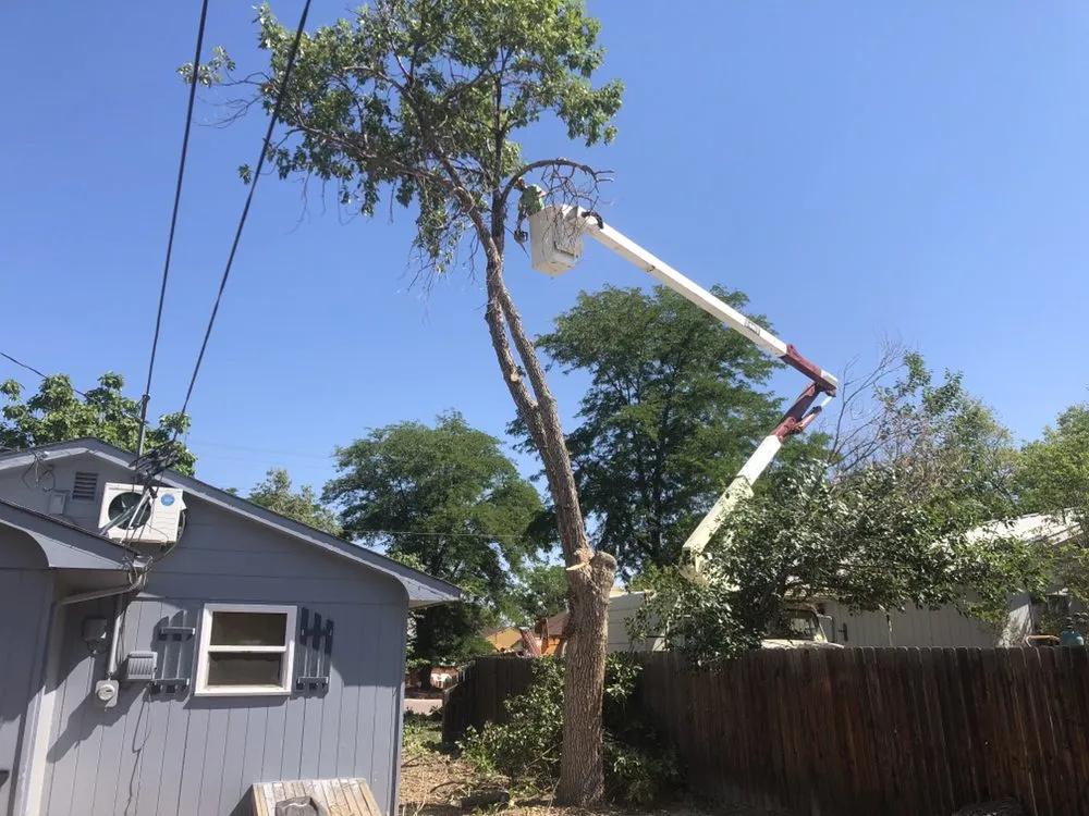 Trusted lawn mowing service for residential properties in Fort Lupton, CO by ACB Family Services