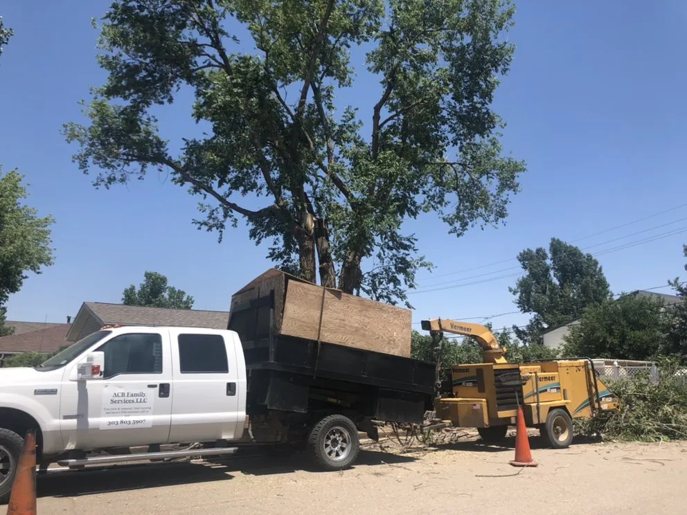 Affordable landscape design in Fort Lupton, CO - ACB Family Services