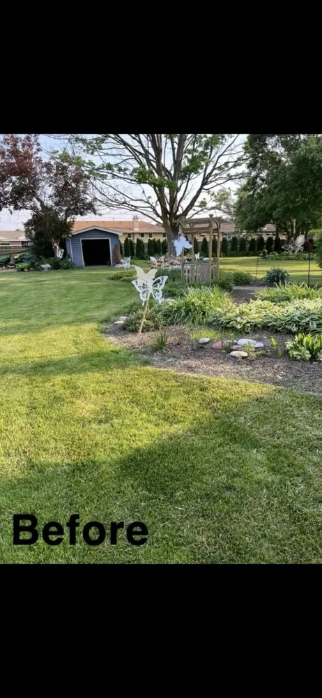 Trusted yard cleanup service for residential properties across Chicago, IL - ACC Lanscaping