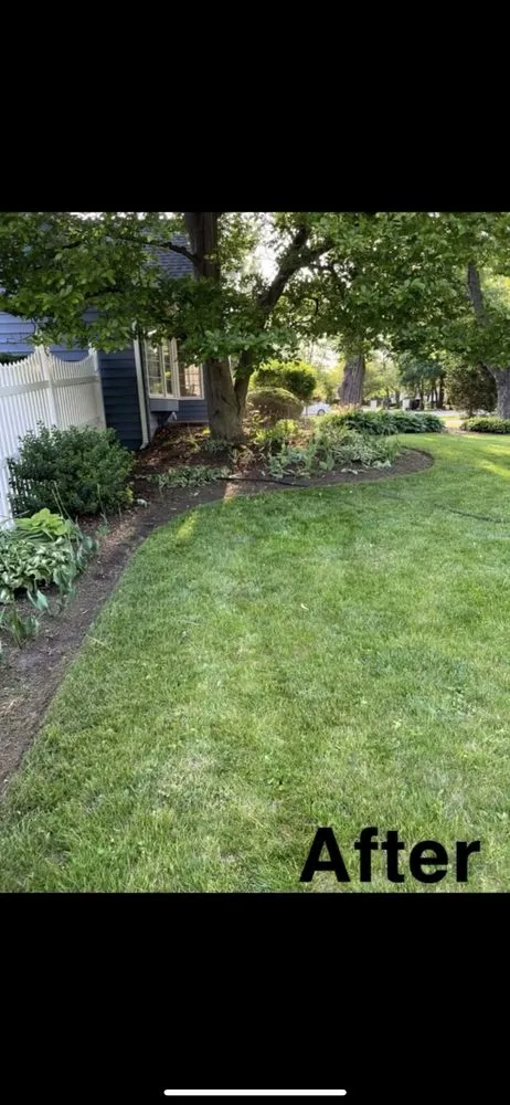 Top-rated landscape design for year-round maintenance across Chicago, IL - ACC Lanscaping