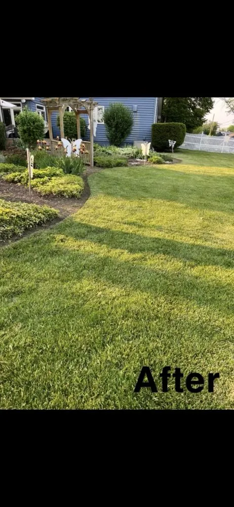 Local lawn care service experts serving Chicago, IL - ACC Lanscaping