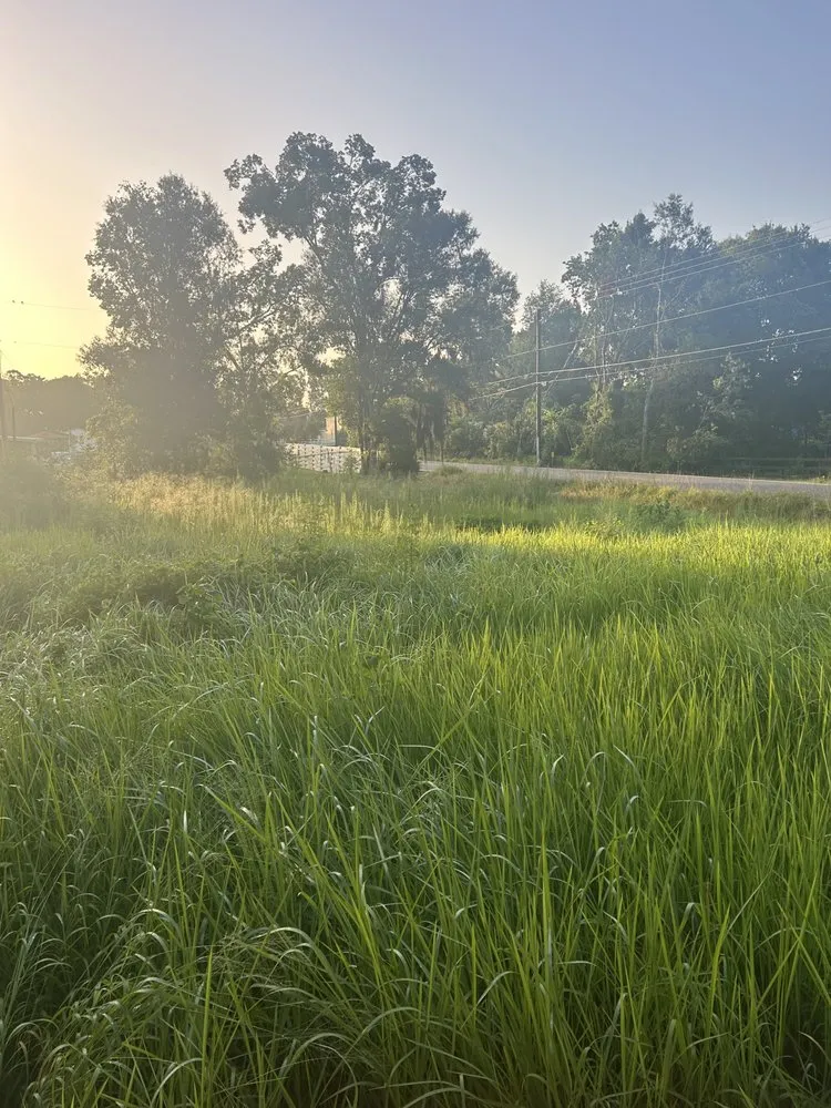 Professional yard maintenance in Winter Haven, FL by ACC Outdoors