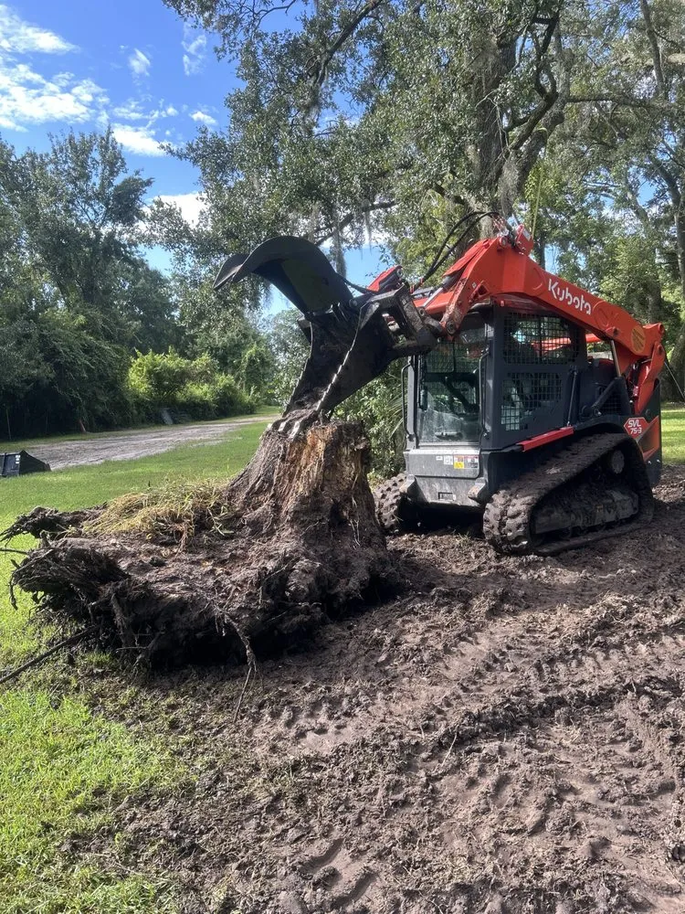 Professional yard cleanup service experts serving Winter Haven, FL - ACC Outdoors