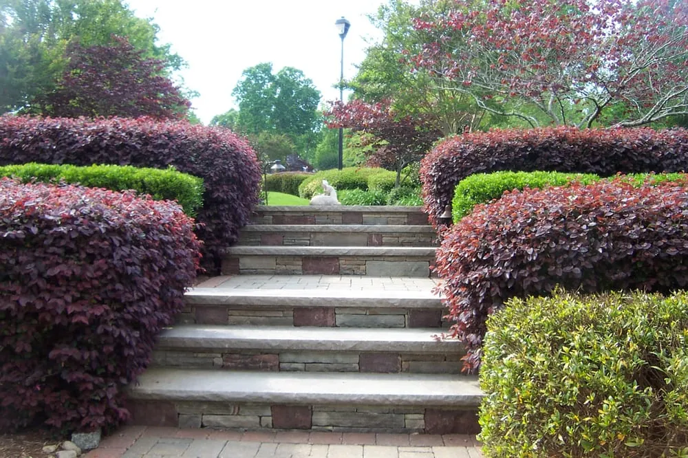 Local outdoor landscaping in Chapel Hill, NC - Accent Design