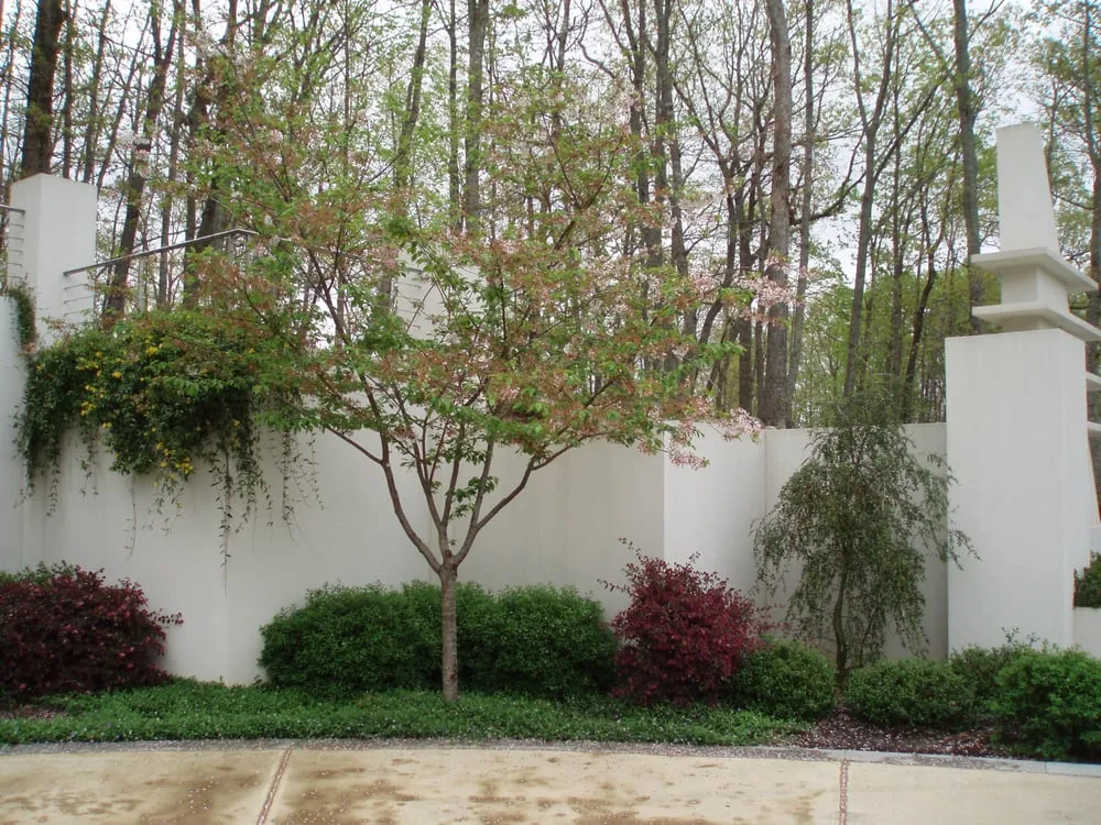 Local yard cleanup service in Chapel Hill, NC - Accent Design