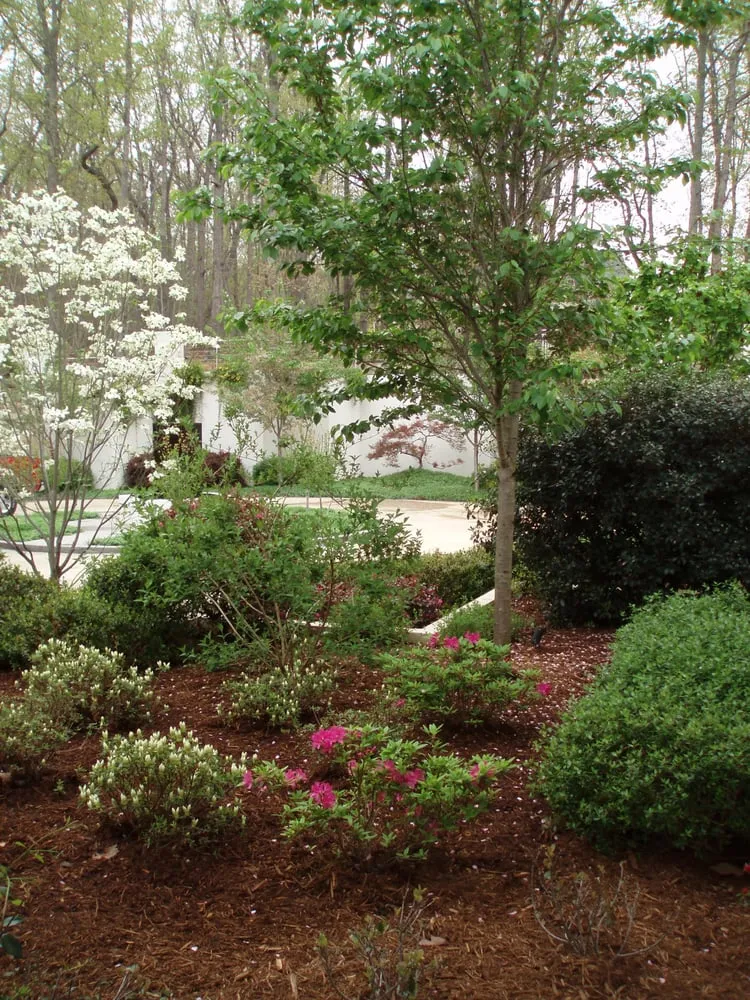Expert landscape design for residential properties across Chapel Hill, NC - Accent Design