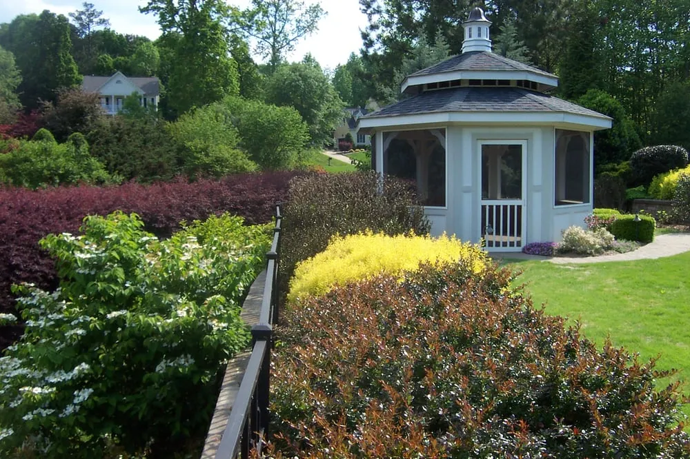 Professional yard cleanup service in Chapel Hill, NC - Accent Design