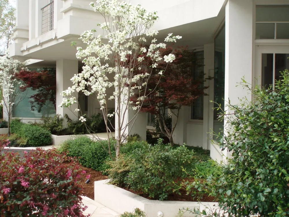 Local yard cleanup service for outdoor upgrades in Chapel Hill, NC by Accent Design