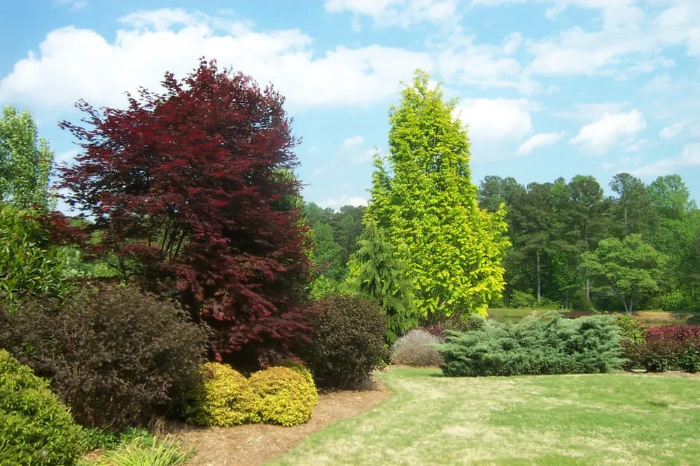 Local landscape installation in Chapel Hill, NC - Accent Design