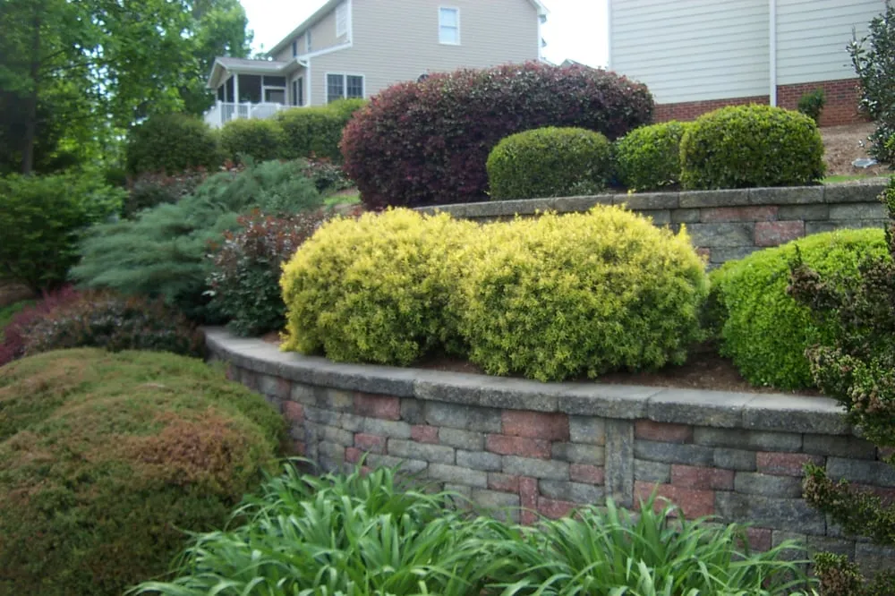 Reliable garden landscaping in Chapel Hill, NC by Accent Design