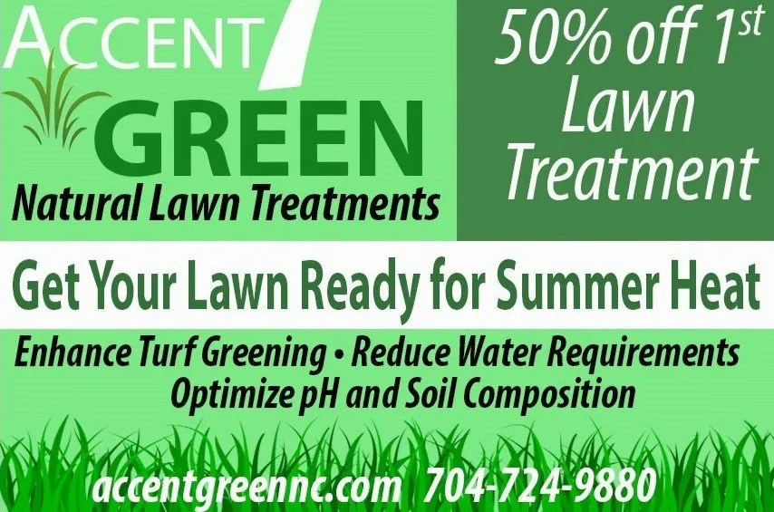 Custom landscape design for year-round maintenance across Lake Park, NC - Accent Green