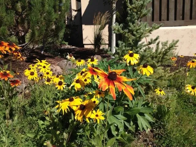 Local landscape design for year-round maintenance in Bend, OR by Accent Landscape Design & Construction