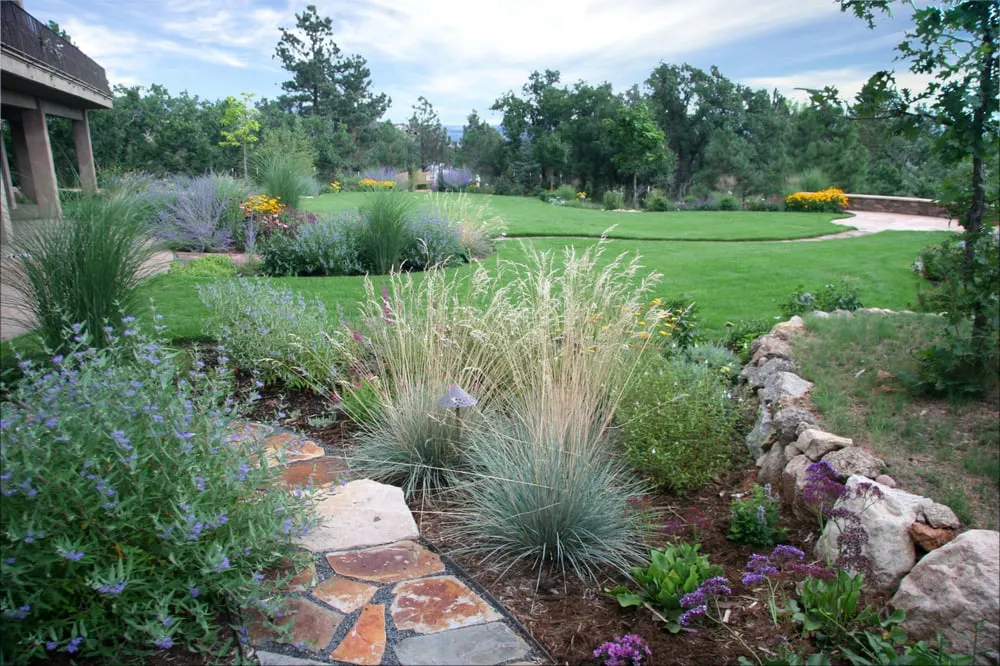 Local lawn care service in Colorado Springs, CO by Accent Landscapes