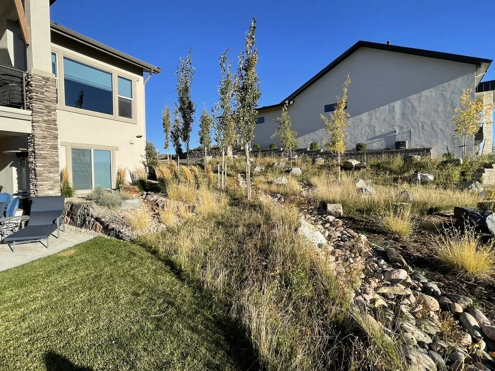 Affordable lawn care service for beautiful yards across Colorado Springs, CO - Accent Landscapes