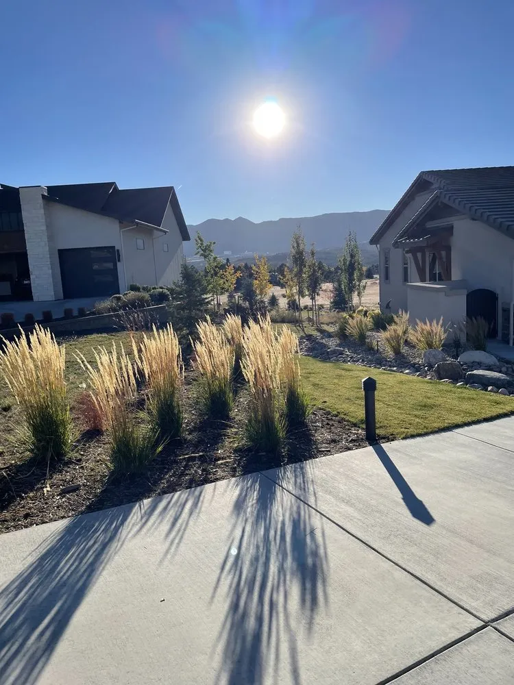 Local yard cleanup service experts serving Colorado Springs, CO - Accent Landscapes