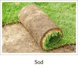 Reliable yard cleanup service for homes across Toms River, NJ - Accent Landscaping & Irrigation