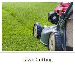 Custom yard cleanup service for year-round maintenance in Toms River, NJ by Accent Landscaping & Irrigation