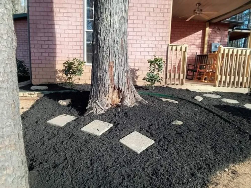 Professional yard maintenance in Townsend, TN - Accent Landscaping & Lawncare