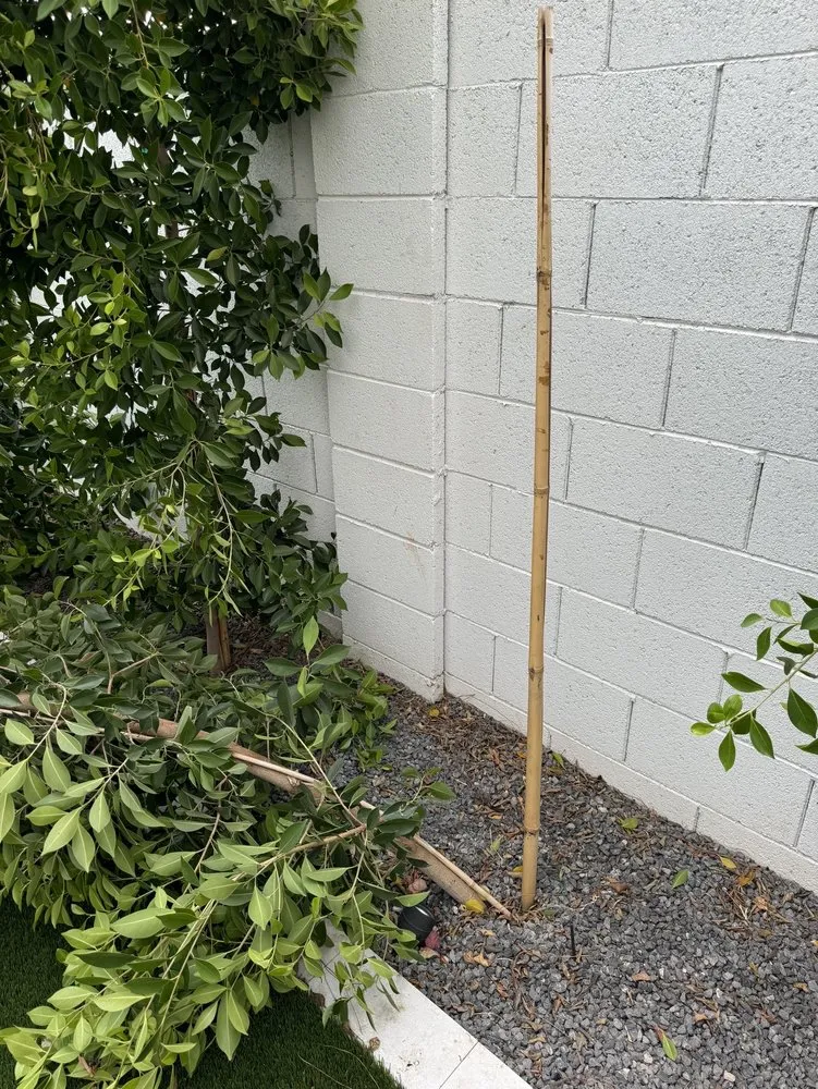 Top-rated garden landscaping in San Tan Valley, AZ by Accent Landscaping