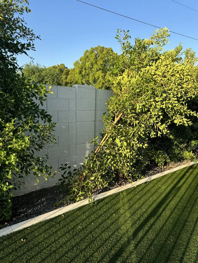 Trusted yard maintenance experts serving San Tan Valley, AZ - Accent Landscaping