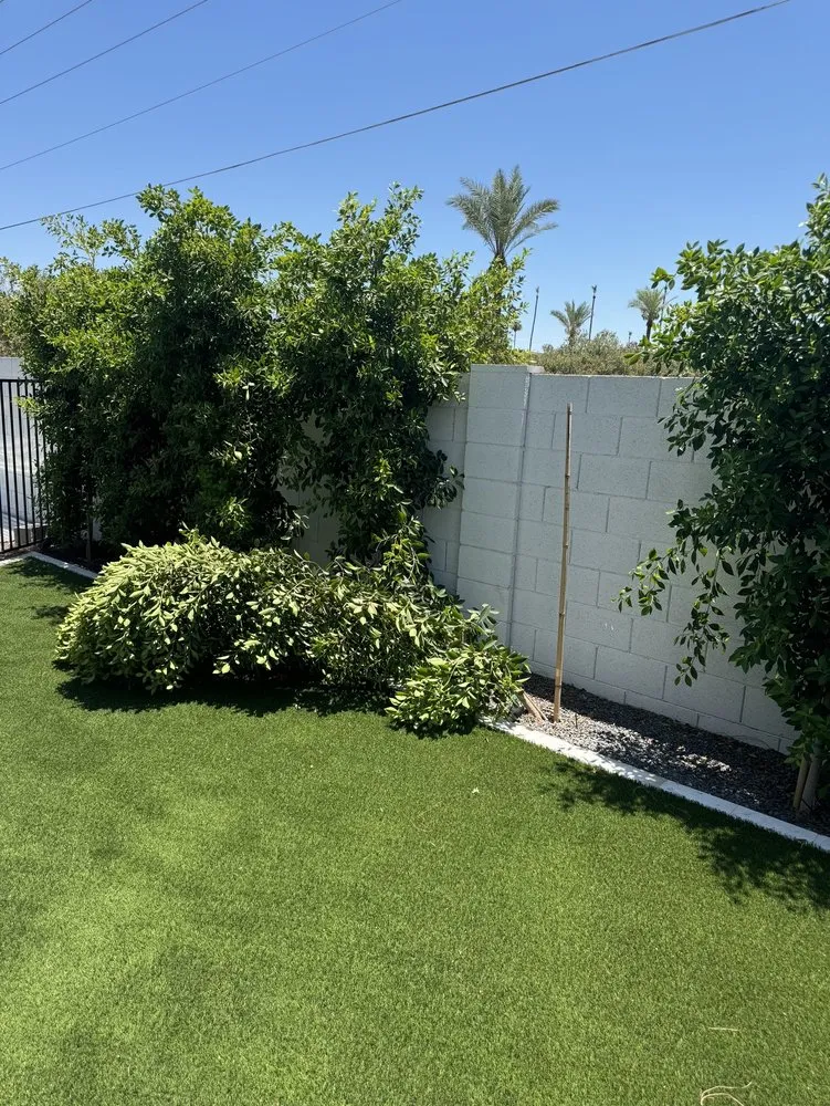 Custom residential landscaping for year-round maintenance in San Tan Valley, AZ by Accent Landscaping