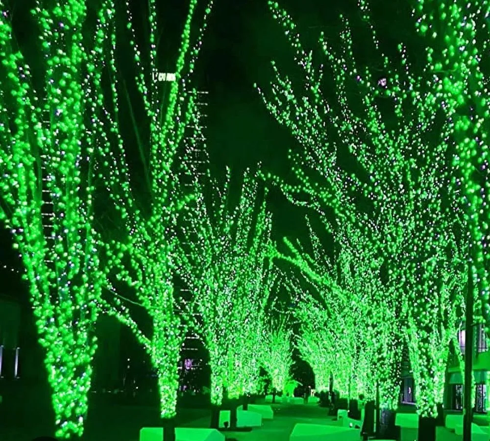 Expert yard maintenance in Longview, TX - Accent Lighting And Landscapes