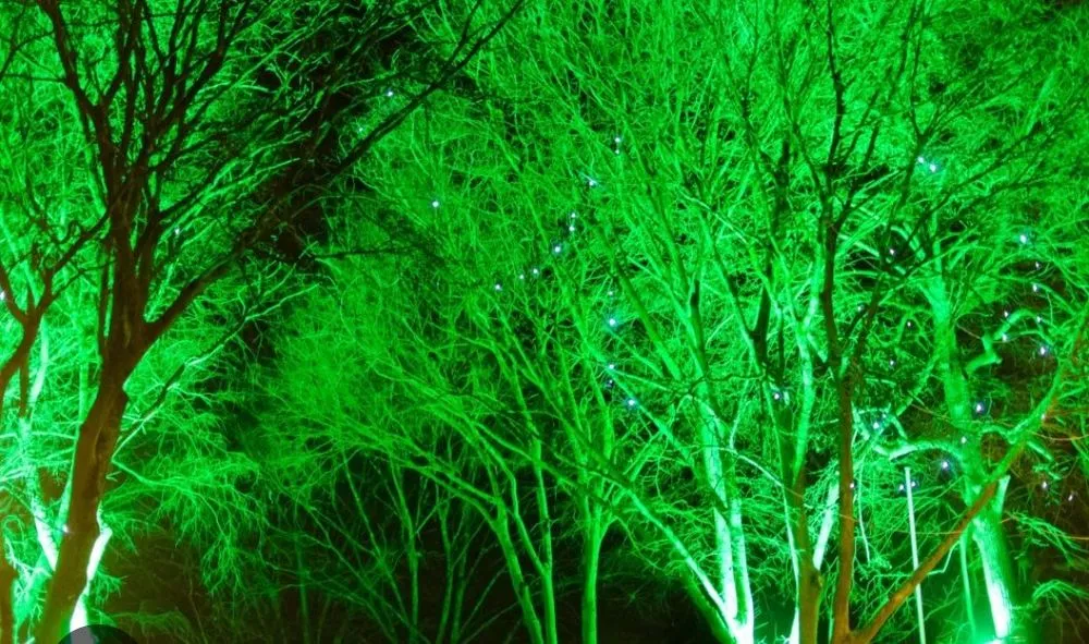 Trusted lawn mowing service for beautiful yards in Longview, TX by Accent Lighting And Landscapes