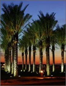 Top-rated garden landscaping for outdoor upgrades in Orange, CA by Accent Lighting and Sprinkler