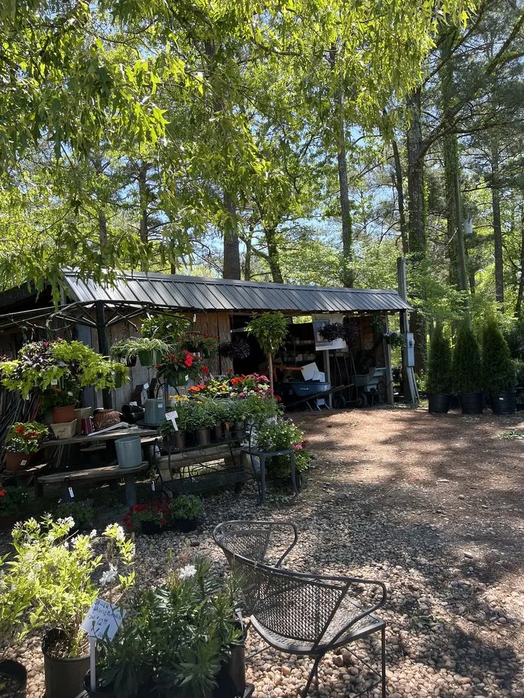 Professional landscape installation for homes across Douglasville, GA - Accent Nursery & Landscaping