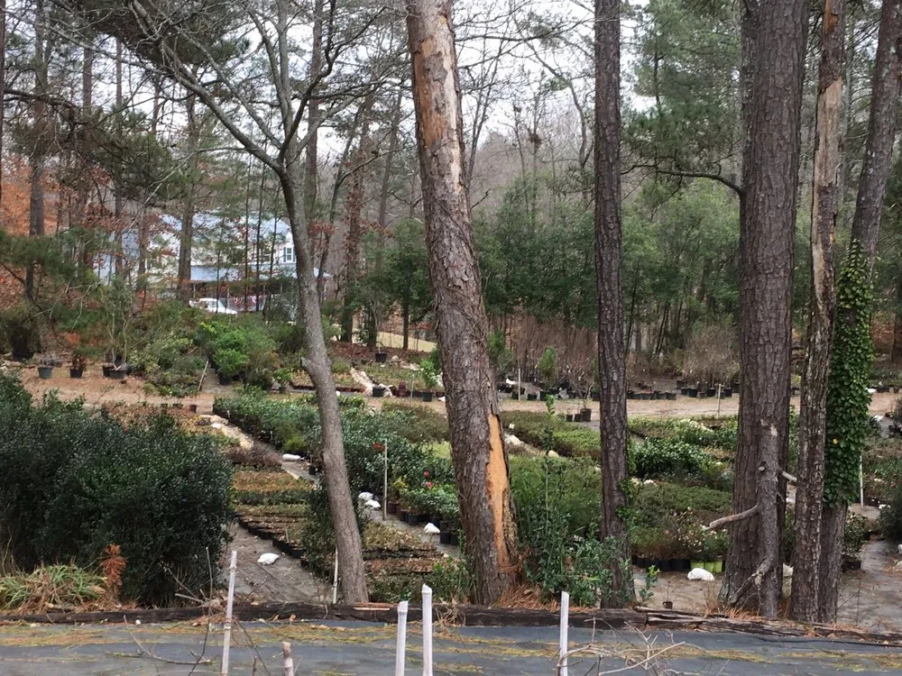 Custom landscape installation for outdoor upgrades across Douglasville, GA - Accent Nursery & Landscaping