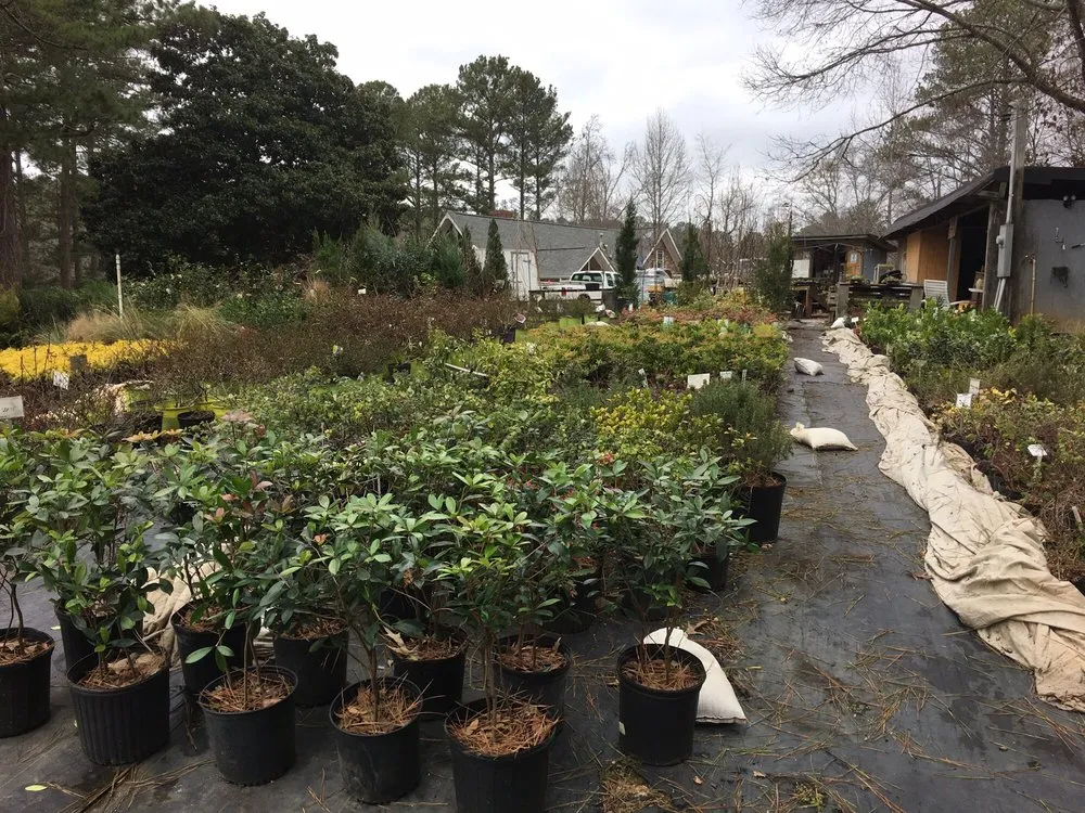 Professional lawn mowing service for beautiful yards in Douglasville, GA by Accent Nursery & Landscaping