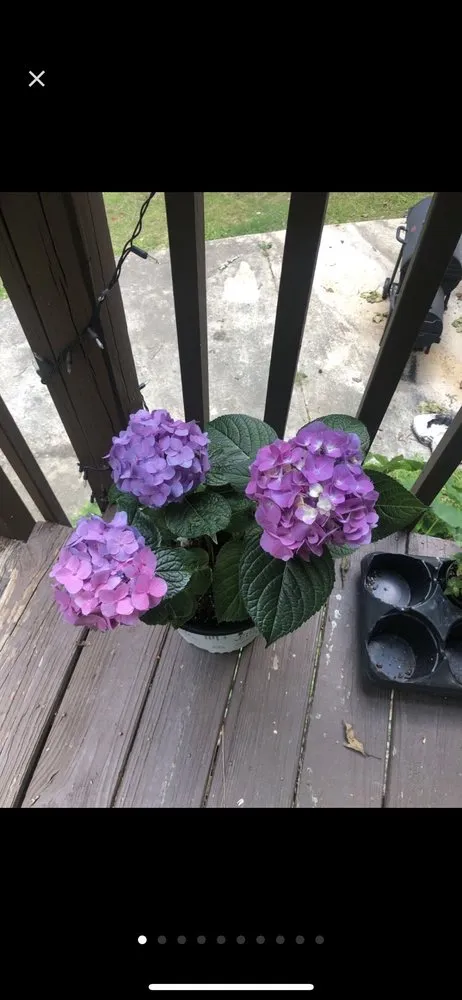 Professional landscape design for homes across Douglasville, GA - Accent Nursery & Landscaping