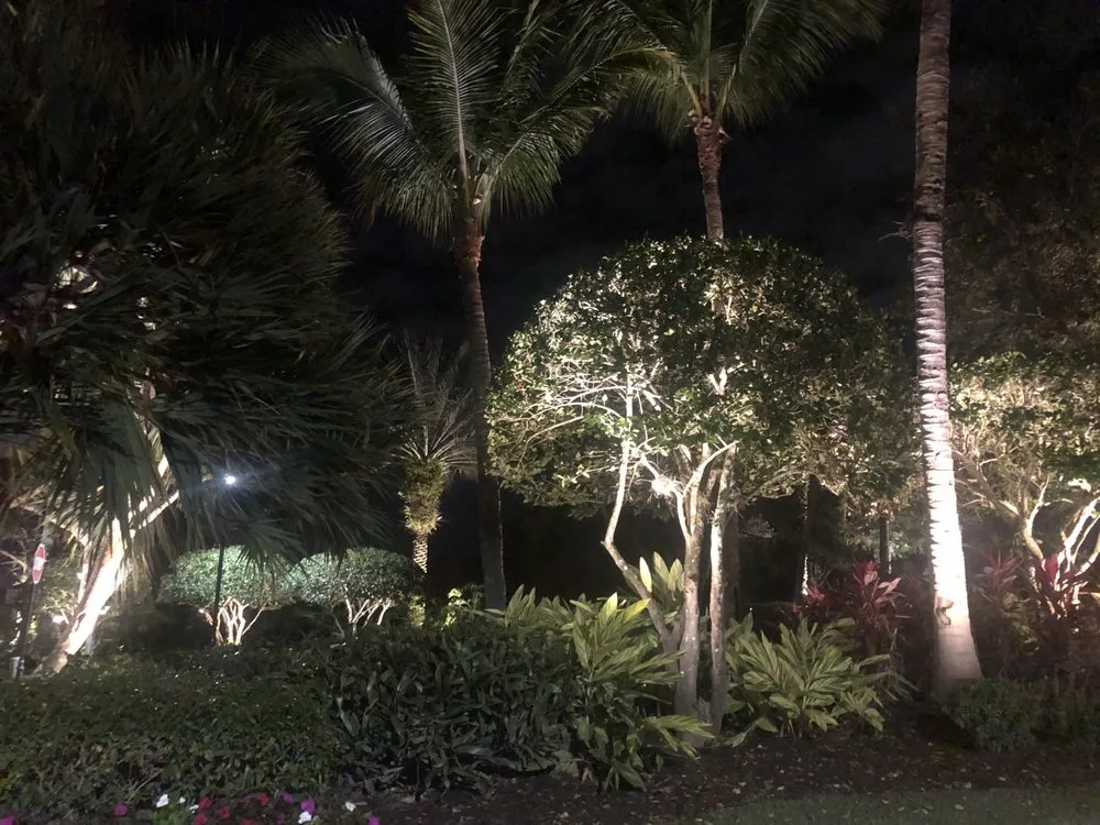 Custom landscaping services experts serving Bonita Springs, FL - Accent Outdoor Lighting
