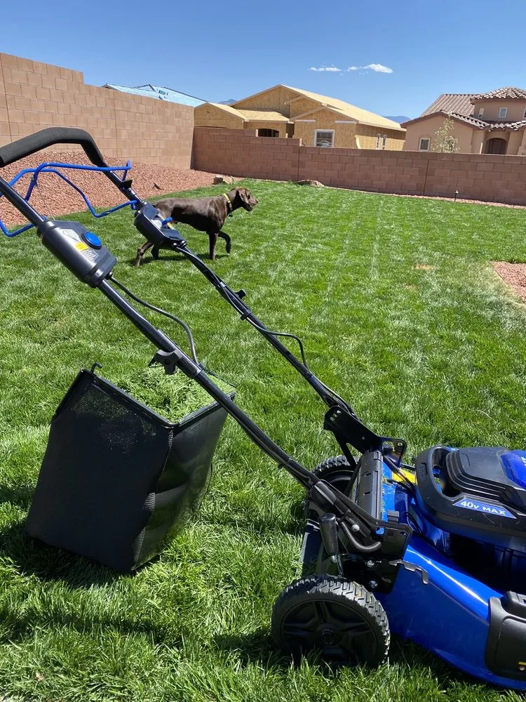 Affordable yard maintenance experts serving Rio Rancho, NM - AccessAbility Design & Construction