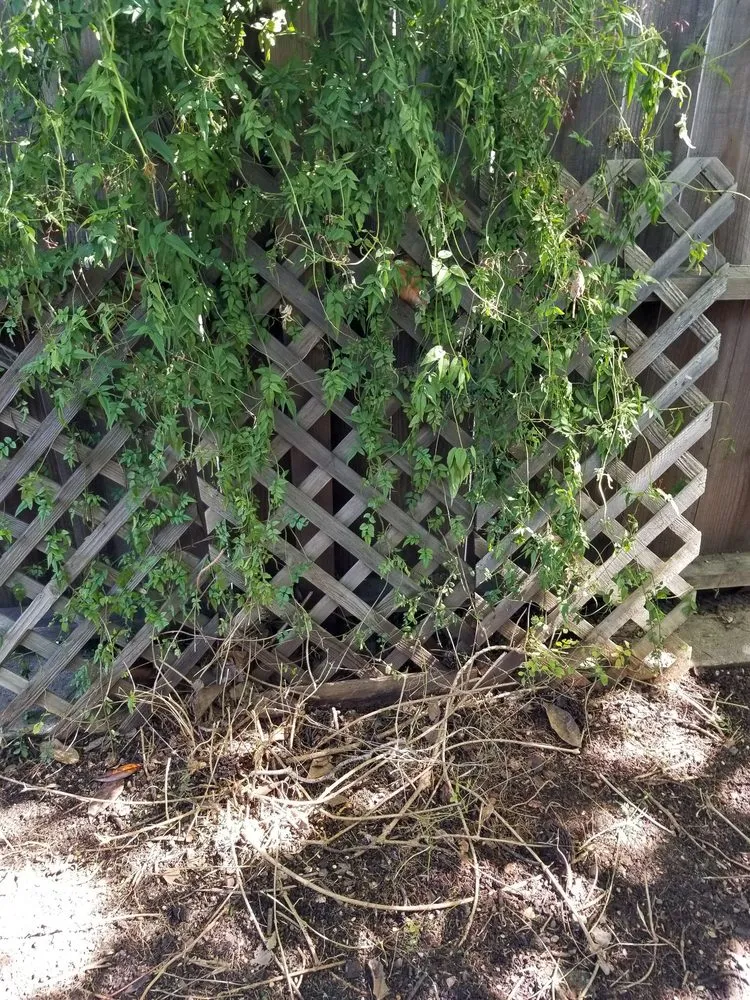 Expert outdoor landscaping for beautiful yards in Fairfield, CA by Accessible Landscaping