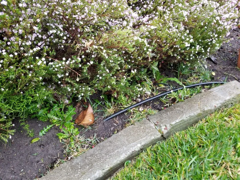 Trusted landscape design in Fairfield, CA by Accessible Landscaping