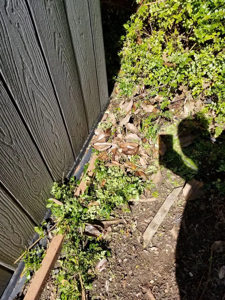 Expert landscape installation in Fairfield, CA by Accessible Landscaping