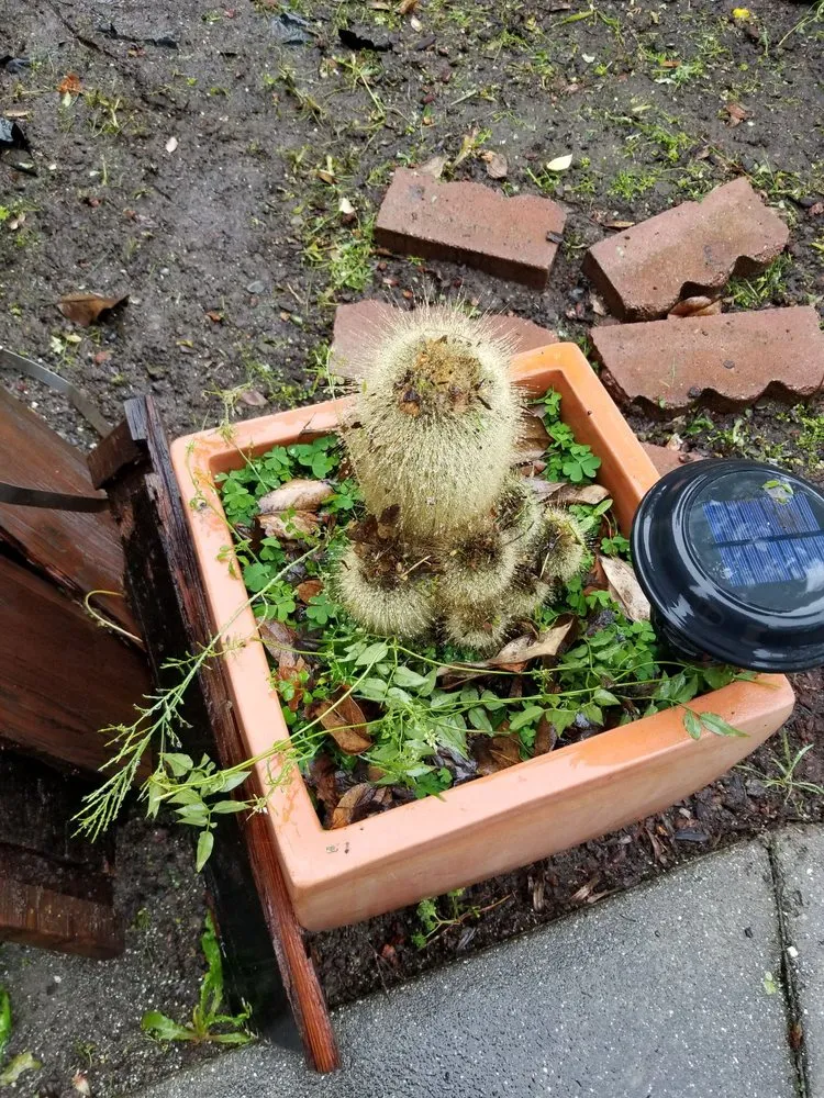 Trusted landscape installation for outdoor upgrades across Fairfield, CA - Accessible Landscaping