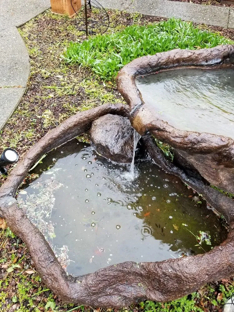 Reliable landscaping services in Fairfield, CA by Accessible Landscaping