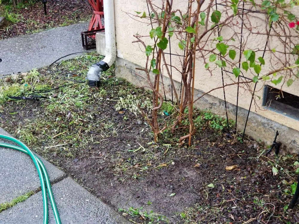 Expert landscape design in Fairfield, CA by Accessible Landscaping