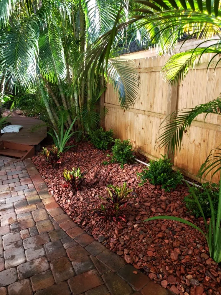 Trusted lawn care service for year-round maintenance in Largo, FL by Acclimate Arbor Care