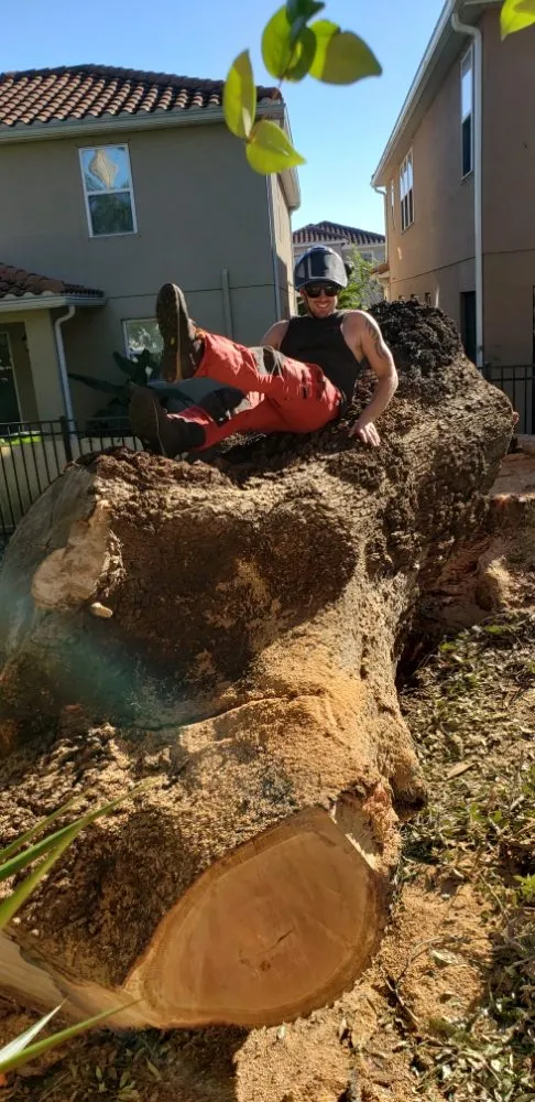 Reliable landscape design in Largo, FL - Acclimate Arbor Care