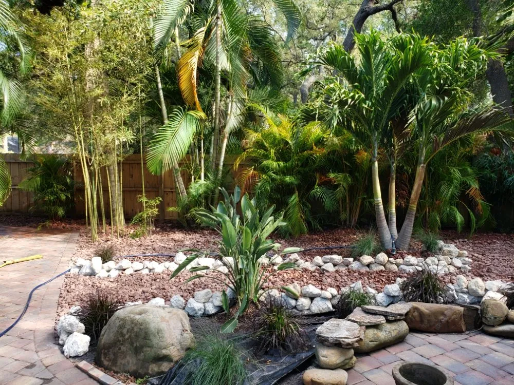 Trusted outdoor landscaping in Largo, FL by Acclimate Arbor Care