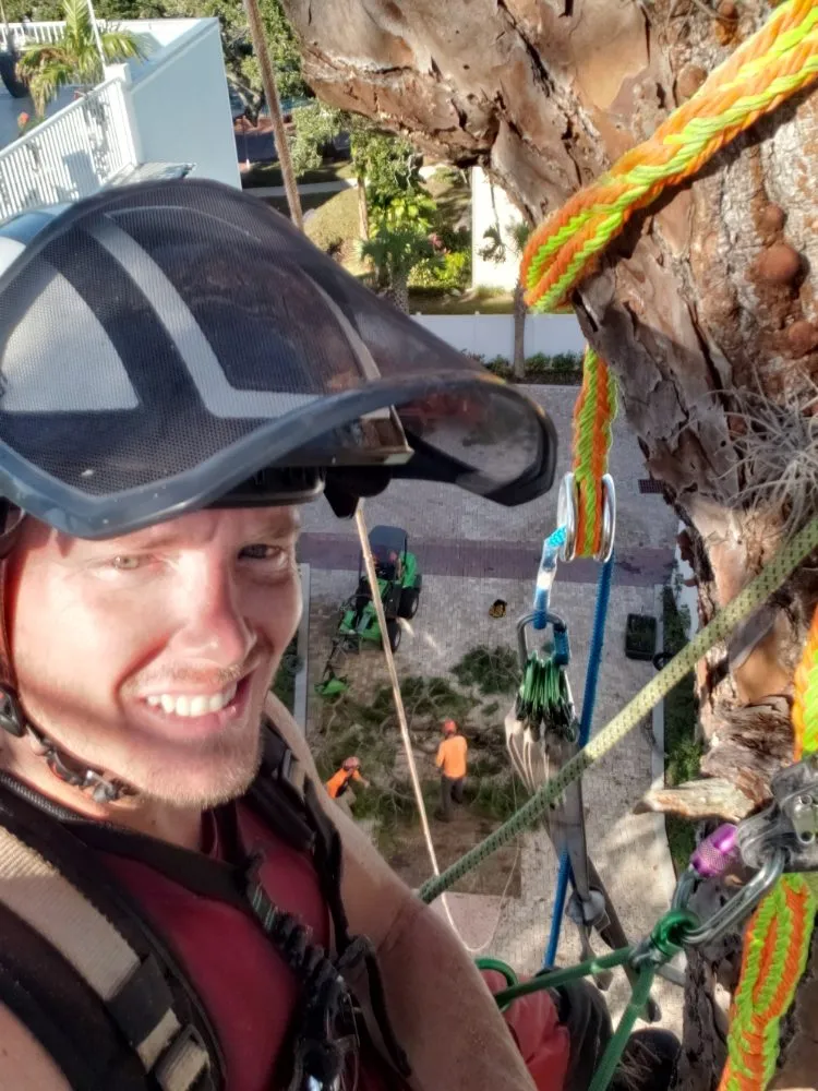 Expert yard maintenance for year-round maintenance in Largo, FL by Acclimate Arbor Care