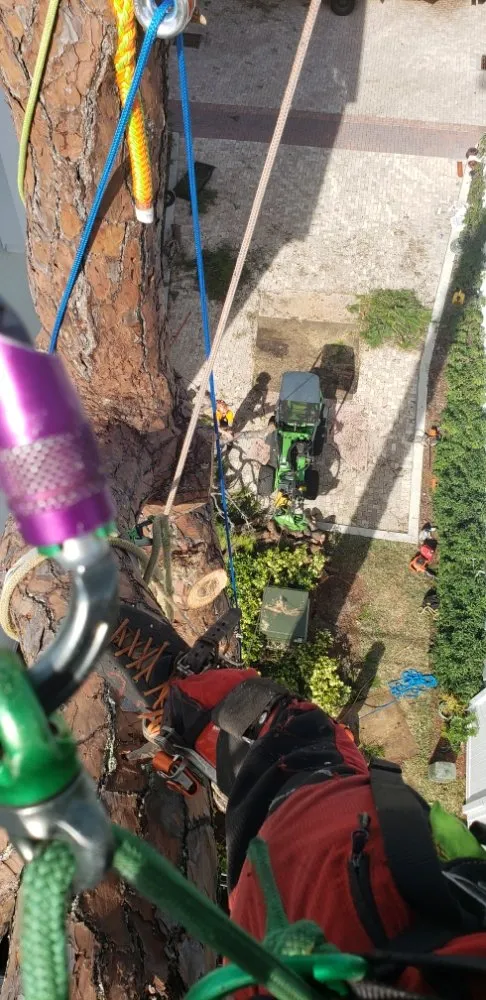 Top-rated landscape installation experts serving Largo, FL - Acclimate Arbor Care