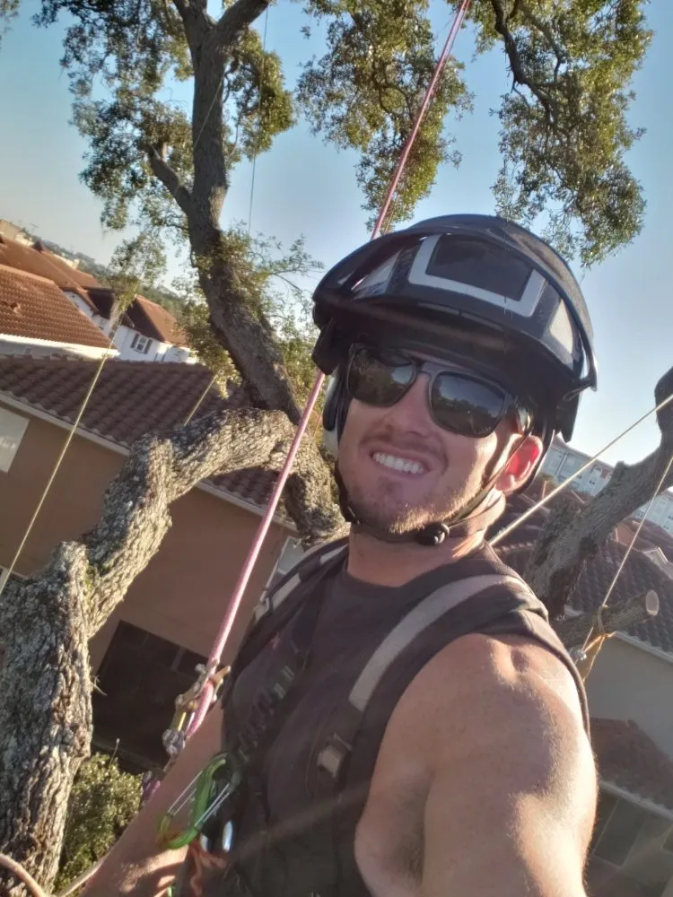 Professional garden landscaping in Largo, FL by Acclimate Arbor Care